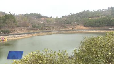 杨山花海旅游度假区项目建设加快推进