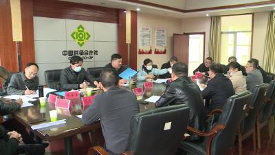 省供销社调研组来我市调研