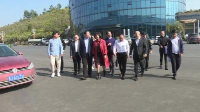 黄冈市工商联领导来我市调研民营企业发展情况