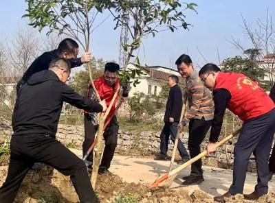 龙坪镇广泛开展“绿满龙坪”义务植树活动