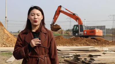 四望镇：补齐短板谋项目 夯实发展新底盘