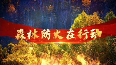 森林防火在行动