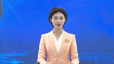 胡昊主持召开全市产业链招商任务分解工作会