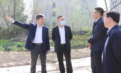 针对城市建设工作，书记市长今天调研了这些地方，提出明确要求......