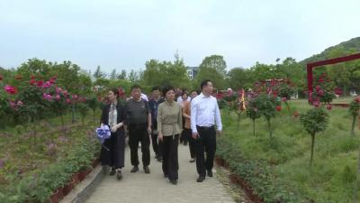 民盟黄冈市委理论中心组来我市开展调研