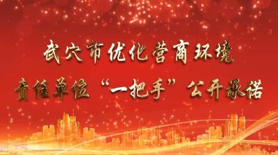 公开承诺｜大法寺镇：以“四办”“四到”举措 优化营商环境 厚植发展沃土