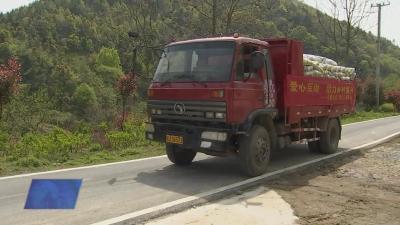 华新水泥向大金镇杨山村捐赠130吨水泥等物质助力乡村振兴