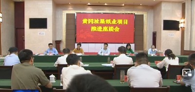 五洲特纸公司高层一行来我市考察 加快推进黄冈祉星纸业项目落地建设