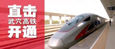官宣！黄黄高铁正式开通运营时间定了！