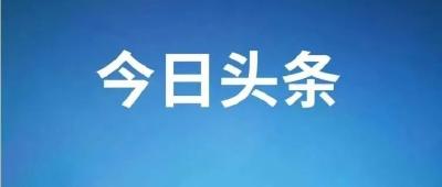 全市项目督办调度会召开