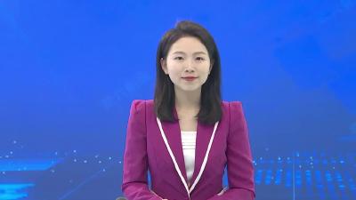 武穴为391株濒危古树名木“把脉问诊”