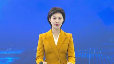 全市项目督办调度会召开