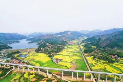 大金镇：持续优化人居环境 奋力扮靓镇村面貌