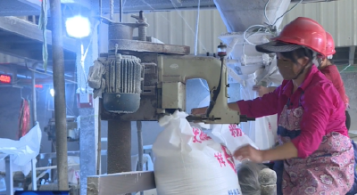 武穴：打造最“便”的开放环境 助力外贸企业逆势向“优”