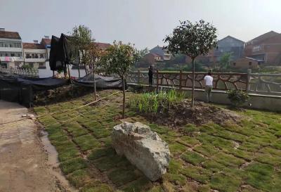建设“四小园”，龙坪镇这个村“颜值”刷新！