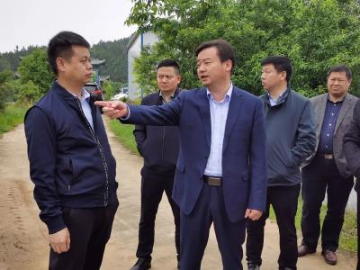 今天，胡昊到这些地方检查防汛备汛及水利在建工程