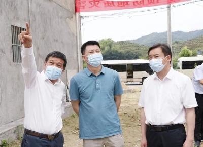 自然资源部来武穴调研指导汛期地质灾害防治工作
