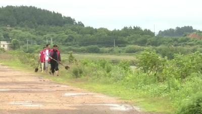 石佛寺镇朱华村：全力以赴打好防汛“准备战”