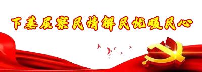 下基层 察民情 解民忧 暖民心