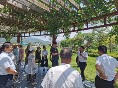 乡村建设｜朱奇伍社区：思想破冰激活力 干群齐心美家园