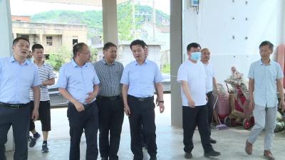 王光华检查指导长江干堤防汛工作