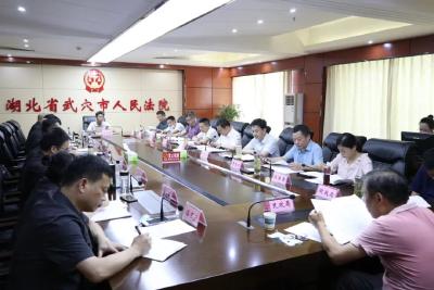胡昊调研法院工作时强调：坚持司法为民公正司法 为武穴高质量发展保驾护航