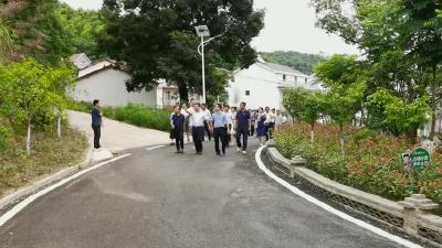 大金镇：学先进促提升  助力乡村振兴