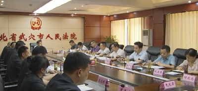 胡昊：坚持司法为民公正司法 为武穴高质量发展保驾护航