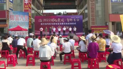 “湖北黄冈.智趣生活”武穴市汽车与家电促消费活动正式启动