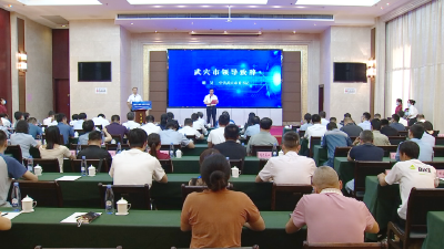 “智汇产业链·振兴大别山”中国化工学会院士专家黄冈老区行活动走进武穴