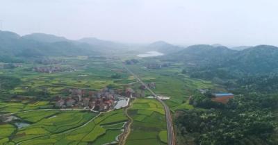 大法寺镇：党群齐心抗大旱 全力以赴保丰收