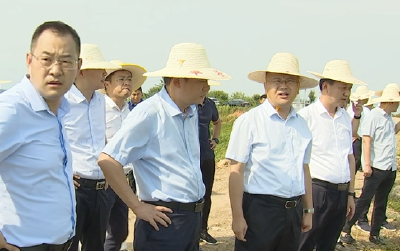 我市召开“三湖”地区水质调研推进会