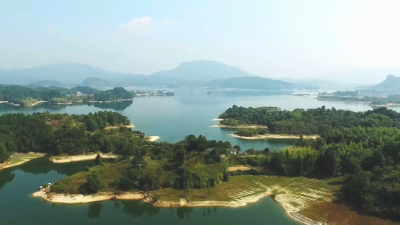 “一枝花”“一棵菜”“一只鹅”……武穴三产融合处处是风景！