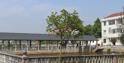 四望镇大蒋村：推进“四小园”建设 绘就乡村美宜居新画卷