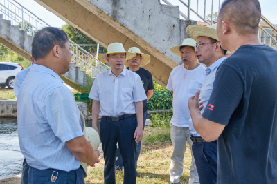 胡昊到梅川余川两地调研指导抗旱工作