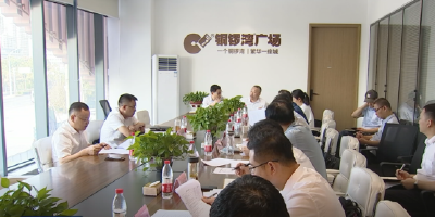 我市召开铜锣湾广场项目推进会议