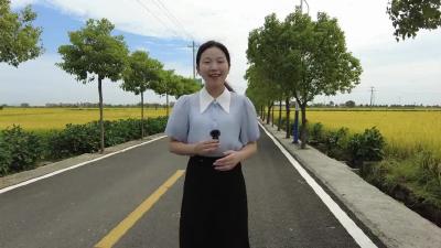 花桥：迎接“高铁”新时代 把握发展“新机遇”
