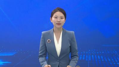 我市召开中介服务平台试运行工作会