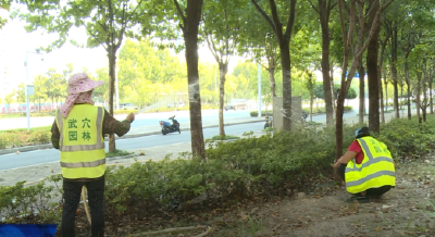 高温持续 园林工人抗旱守护绿荫