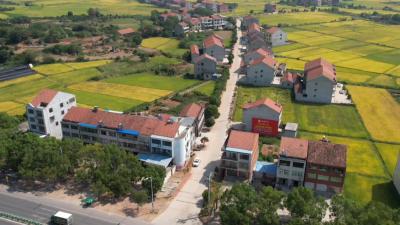 蔡启常村：因地制宜 全力推进乡村振兴示范创建