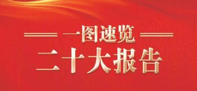 一图速览二十大报告！