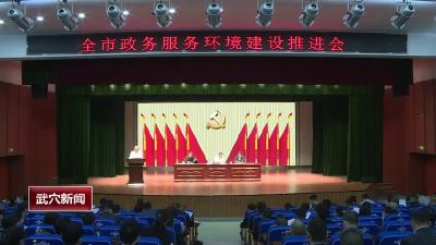 全市政务服务环境建设推进会召开