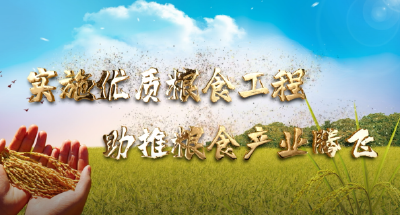 实施优质粮食工程  助推粮食产业腾飞