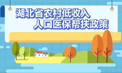 【政策宣传】《湖北省农村低收入人口医保帮扶政策》宣传动画