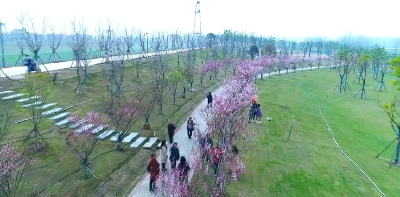 【武穴 喜迎二十大 看非凡十年】武穴：建高颜值城市 享高品质生活