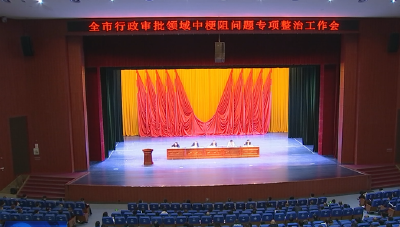 全市行政审批领域“中梗阻”问题专项整治工作会召开