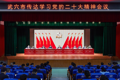 武穴市召开传达学习党的二十大精神会议