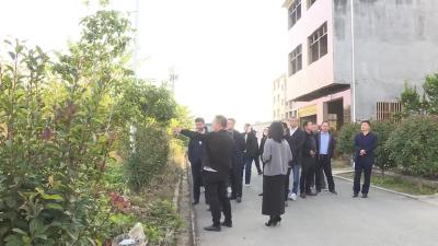 现场拉练找差距 比学赶超促振兴