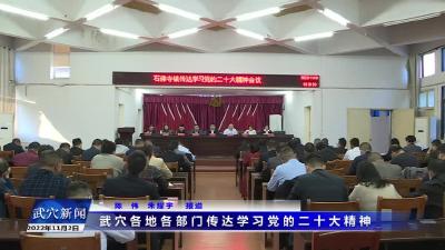 武穴各地各部门传达学习党的二十大精神