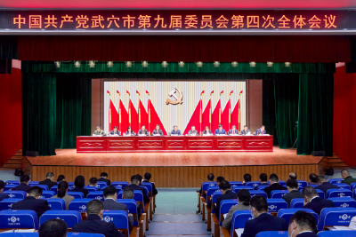 中共武穴市委九届四次全体会议举行